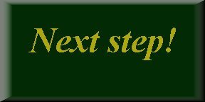 next.JPG (6671 bytes)